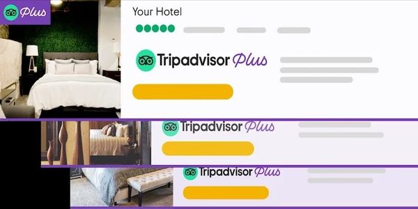 tripadvisor plus web page